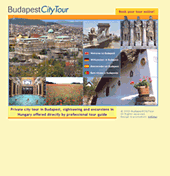Professional web design, Click to enlarge