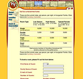 Professional web design, Click to enlarge