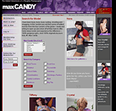 Professional web design, Click to enlarge