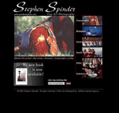 Professional web design, Click to enlarge
