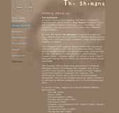 Professional web design, Click to enlarge
