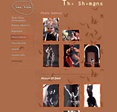 Professional web design, Click to enlarge