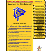 Professional web design, Click to enlarge